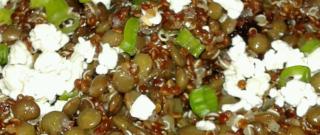 Cranberry Lentil and Quinoa Salad Photo