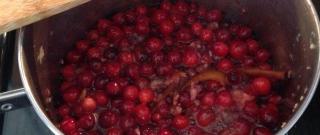 Cranberry Red Wine Relish Photo