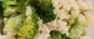 Broccoli Risotto Photo