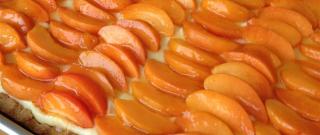 Tieton Apricot Tart with Basil Custard Photo