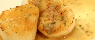 Sous Vide Scallops with Garlic and Lemon Butter Photo