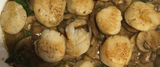 Sous-Vide Bay Scallops on Soy Ginger Espuma with Mushrooms and Spinach Photo