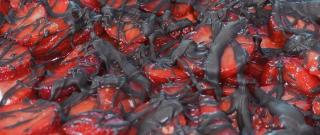 Chocolate-Covered Strawberry Pie Photo