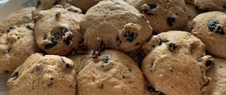 Sweet Sourdough Cookies Photo