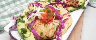 Halibut Fish Tacos Photo