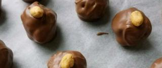 Chocolate-Covered Peanut Butter Balls Photo