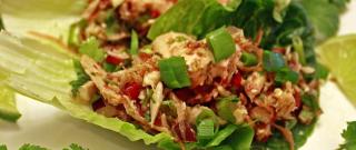 Thai Spicy Tuna Lettuce Wraps Photo