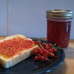 Red Currant Jelly Photo