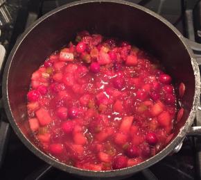 Spiced Cranberry Apple Chutney Photo