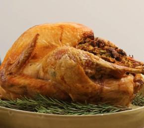 Easy Beginner's Turkey with Stuffing Photo