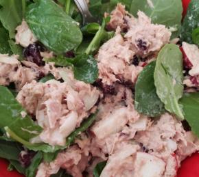 Amazingly Good and Healthy Tuna Salad Photo