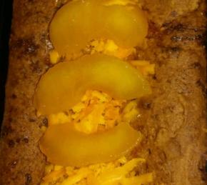 Gluten-Free Zucchini Bread (or Muffins) Photo
