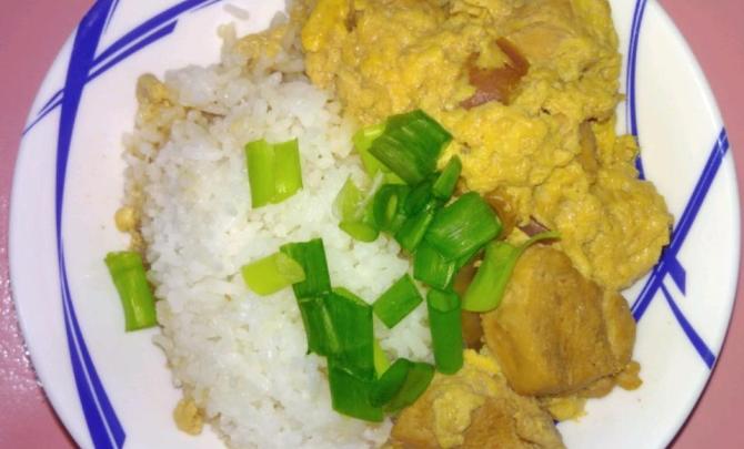 Oyakodon (Japanese Chicken and Egg Rice Bowl) Photo 1