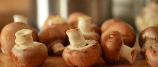 What Makes Homemade Pickled Mushrooms So Delicious? Photo