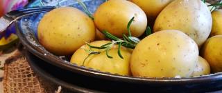 Are Potatoes Really Healthy? Truth About All-Familiar Veggie Photo