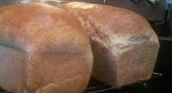 Simple Whole Wheat Bread Photo