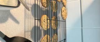 Oatmeal Craisin Cookies Photo